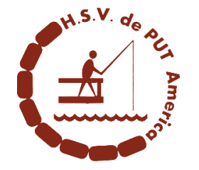 Dagvergunning